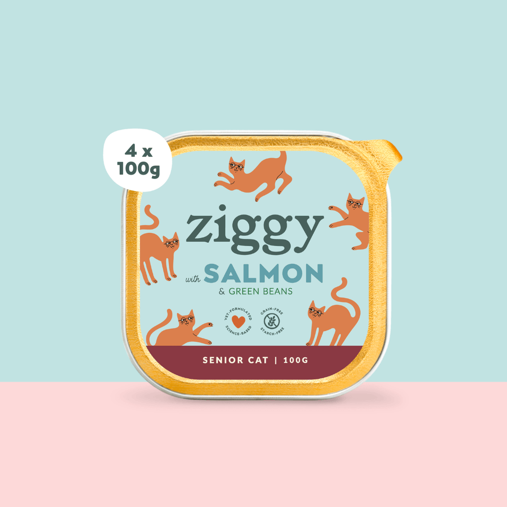 Lot de 4 pâtées pour chat senior au Saumon de la marque Ziggy
