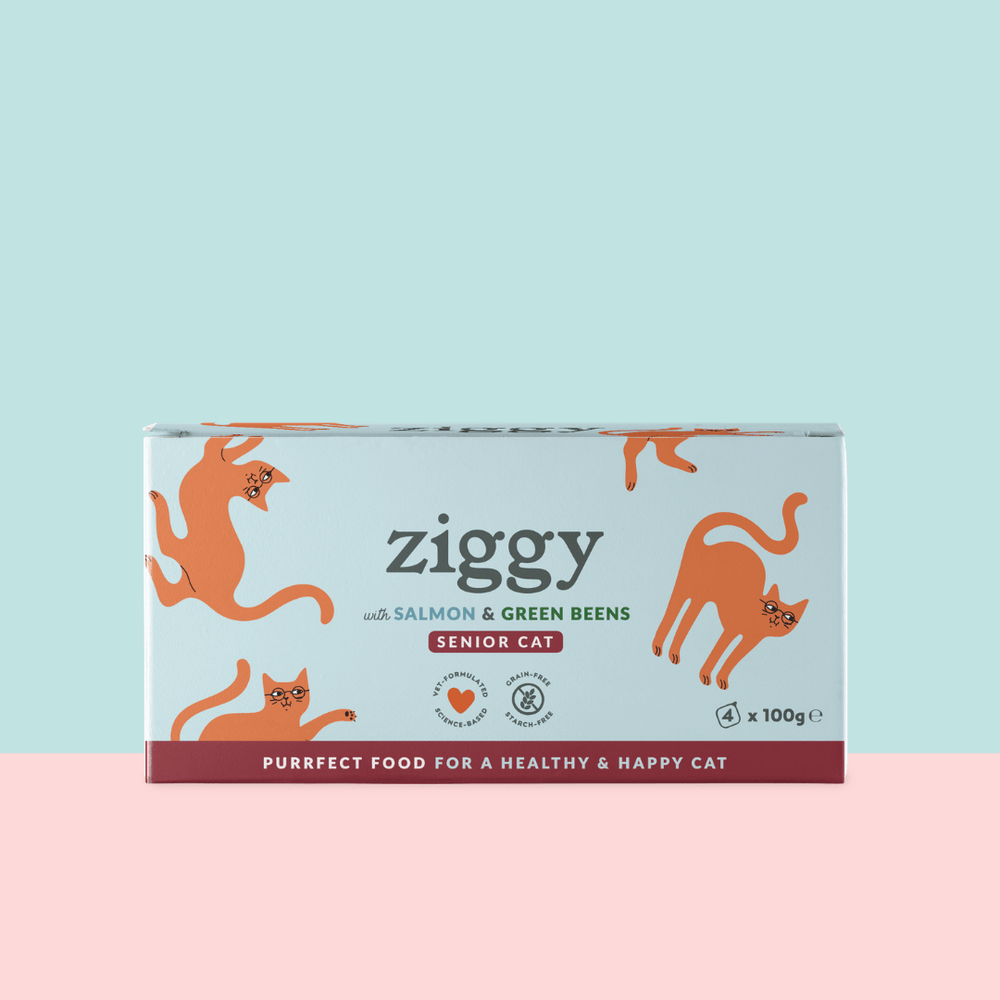 Lot de 4 pâtées pour chat senior au Saumon de la marque Ziggy