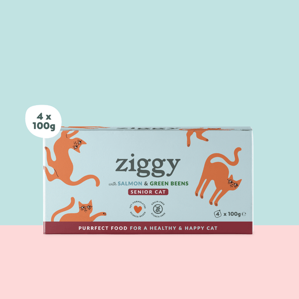 Barquette de pâtée pour chat senior au saumon Ziggy
