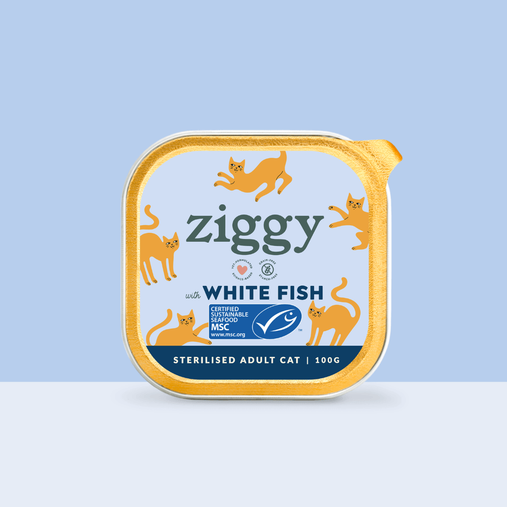 Barquette de 100g de pâtées Ziggy pour chat adulte stérilisé au poisson blanc, saines et sans céréales