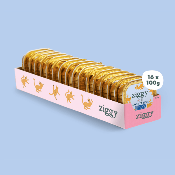 Barquette de 100g de pâtées Ziggy pour chat adulte stérilisé au poisson blanc, saines et sans céréales