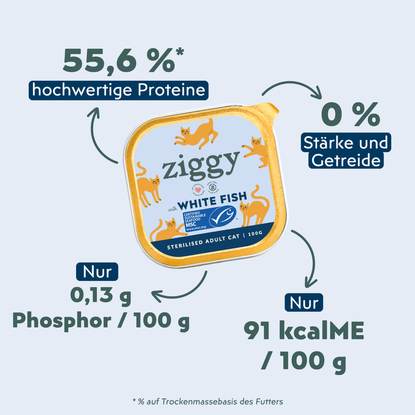 Fütterungsempfehlung für Ziggy sterilisiertes Weißfisch-Nassfutter für Katzen