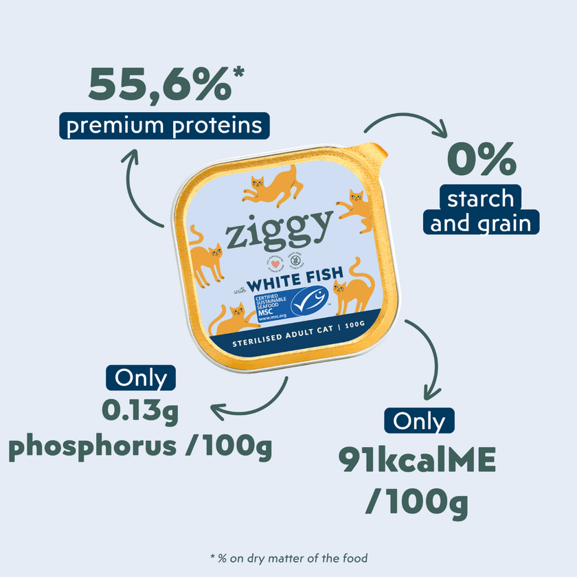 Single tray of Ziggy adult sterilised cat pâté with white fish, another packshot angle
