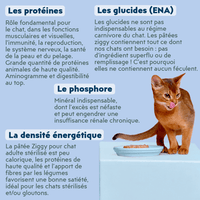 Composition de la pâtée Ziggy pour chat adulte stérilisé au poisson blanc, saine et sans amidon