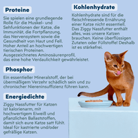 Zutatenliste von Ziggy sterilisiertem Weißfisch-Nassfutter für Katzen, aus natürlichen Zutaten
