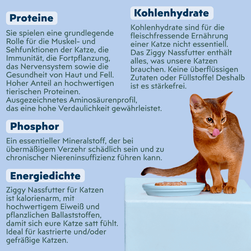 Zutatenliste von Ziggy sterilisiertem Weißfisch-Nassfutter für Katzen, aus natürlichen Zutaten