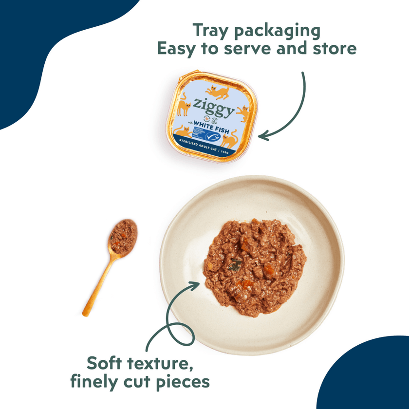 Ziggy adult sterilised cat pâté with white fish served on a plate with a spoon