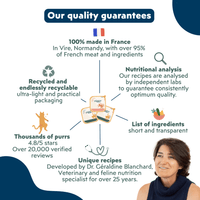 Infographic featuring a veterinarian's photo highlighting the quality of the Ziggy adult sterilised cat pâté with white fish