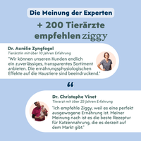 Von Tierärzten empfohlenes Ziggy sterilisiertes Weißfisch-Nassfutter für Katzen