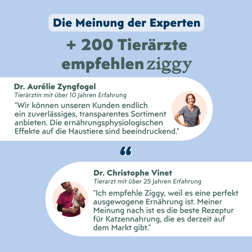 Von Tierärzten empfohlenes Ziggy sterilisiertes Weißfisch-Nassfutter für Katzen