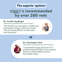 Veterinary recommendation infographic for the Ziggy adult sterilised cat pâté with white fish