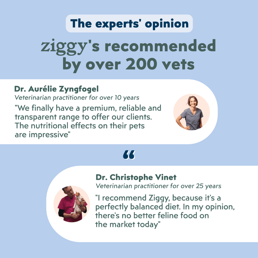 Veterinary recommendation infographic for the Ziggy adult sterilised cat pâté with white fish