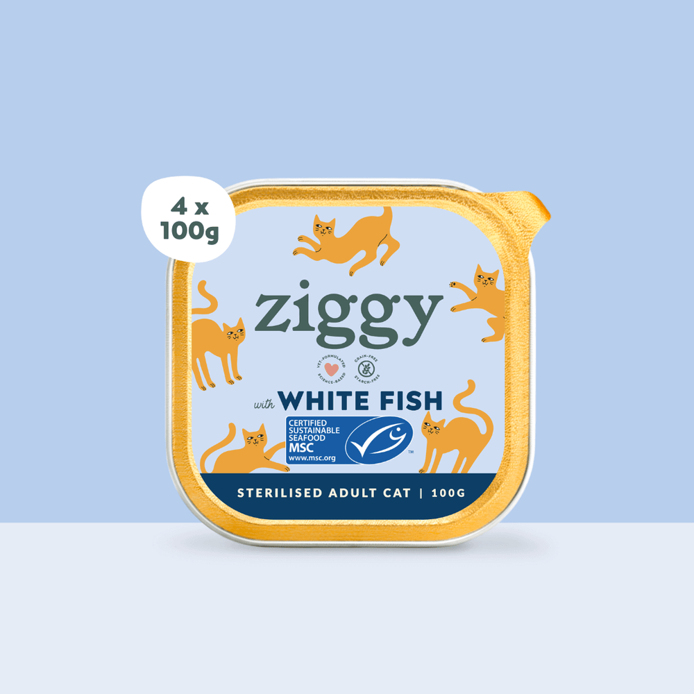 Boite de 4 pâtées Ziggy de 100g pour chat adulte stérilisé au poisson blanc, saines et sans céréales
