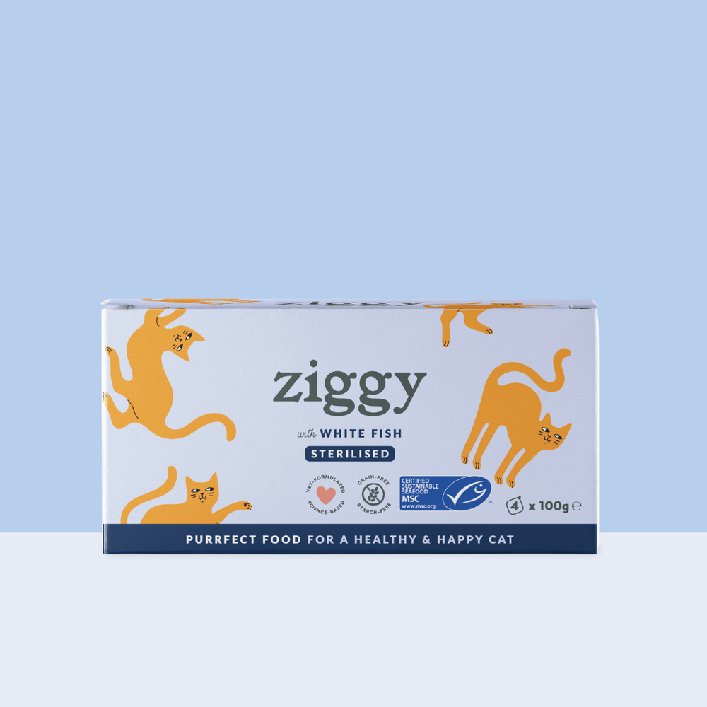 Boite de 4 pâtées Ziggy de 100g pour chat adulte stérilisé au poisson blanc, saines et sans céréales
