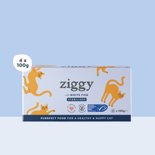 Barquette de 100g de pâtées Ziggy pour chat adulte stérilisé au poisson blanc, saines et sans céréales