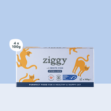 Quantity selector for the pack of 4 trays of Ziggy adult sterilised cat pâté with white fish