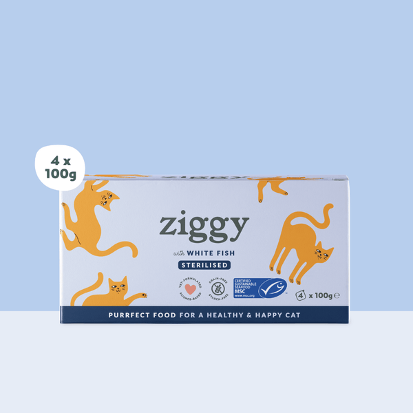 Barquette de 100g de pâtées Ziggy pour chat adulte stérilisé au poisson blanc, saines et sans céréales