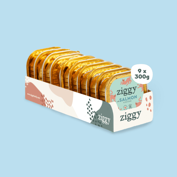 Barquette de 100g de pâtées Ziggy pour chat adulte stérilisé au saumon, saines et sans céréales
