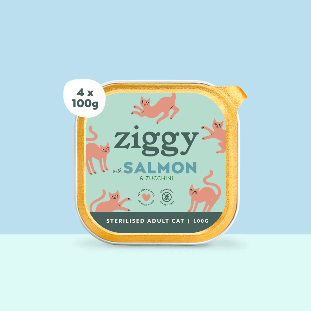 Boite de 4 pâtées Ziggy de 100g pour chat adulte stérilisé au saumon, saines et sans céréales