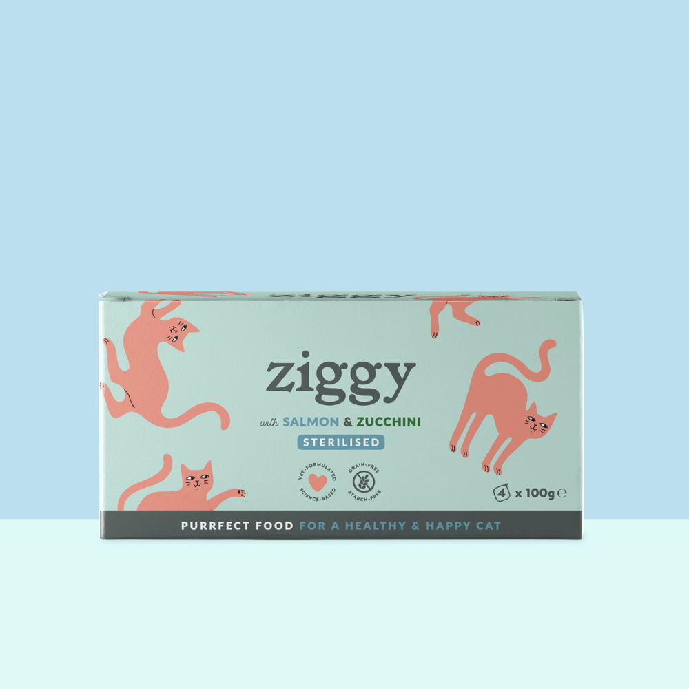 Boite de 4 pâtées Ziggy de 100g pour chat adulte stérilisé au saumon, saines et sans céréales