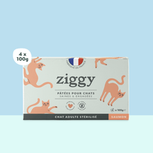 Boite de 4 pâtées Ziggy de 100g pour chat adulte stérilisé au saumon, saines et sans céréales