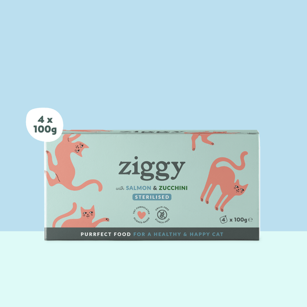 Barquette de 100g de pâtées Ziggy pour chat adulte stérilisé au saumon, saines et sans céréales
