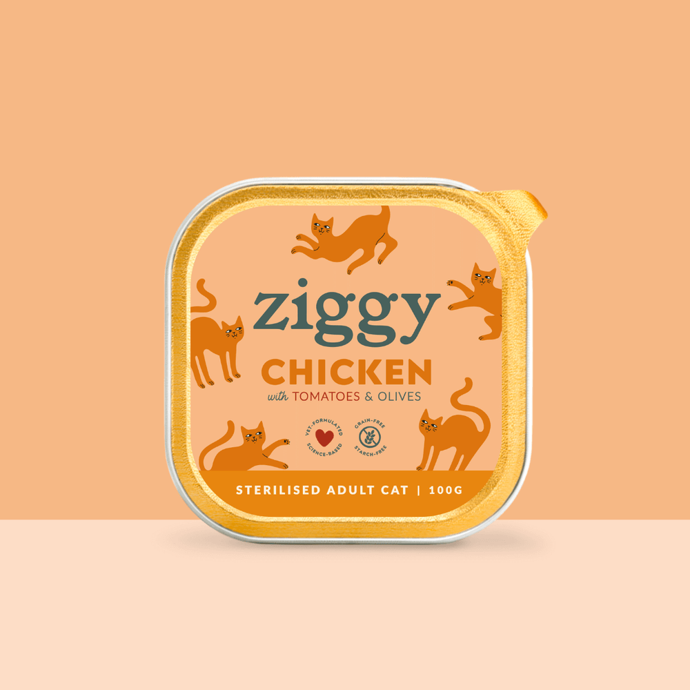 Barquette de la pâtée pour chat adulte stérilisé Ziggy au Poulet, Tomates et Olives