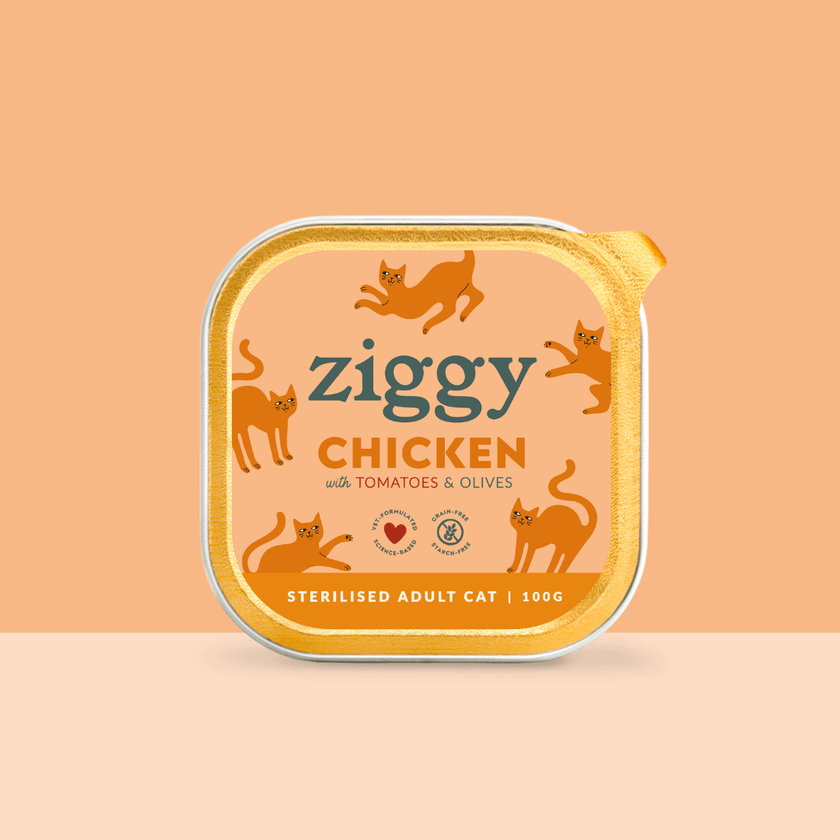 Main photo of the single tray of Ziggy adult sterilised cat pâté with chicken, tomatoes and olives