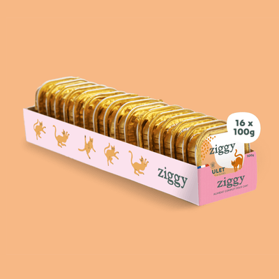 Lot de 16 barquettes de la pâtée pour chat adulte stérilisé Ziggy au Poulet, Tomates et Olives