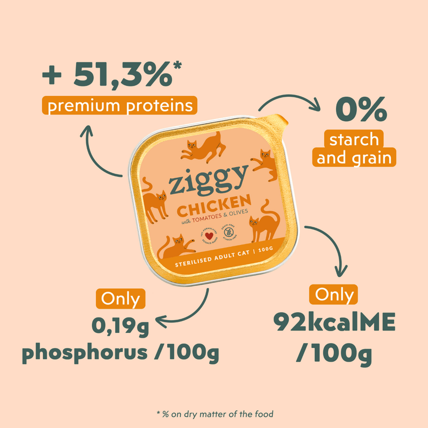Nutritional values infographic (phosphorus, protein levels) for the Ziggy adult sterilised cat pâté with chicken, tomatoes and olives