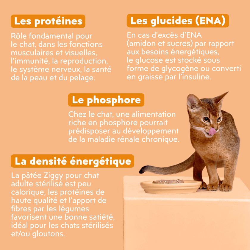 Ingrédients de la pâtée pour chat adulte stérilisé Ziggy au Poulet, Tomates et Olives