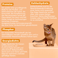 Zutatenliste von Ziggy sterilisiertem Hühnchen-Nassfutter für Katzen, aus natürlichen Zutaten