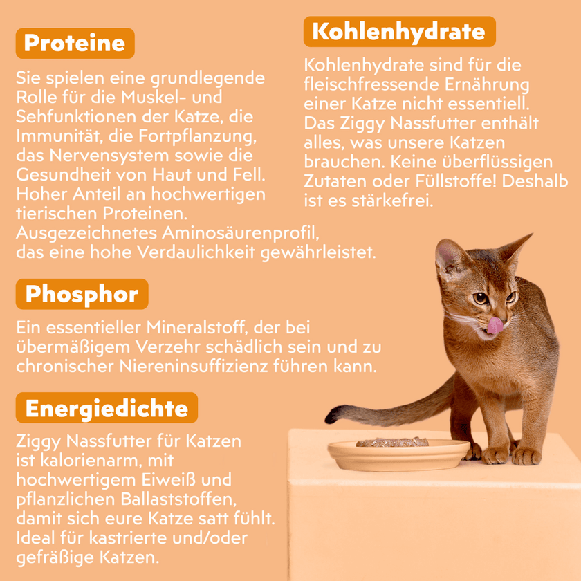 Zutatenliste von Ziggy sterilisiertem Hühnchen-Nassfutter für Katzen, aus natürlichen Zutaten