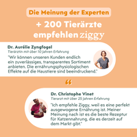 Von Tierärzten empfohlenes Ziggy sterilisiertes Hühnchen-Oliven-Nassfutter für Katzen