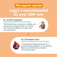 Recommended by over 200 vets, infographic for the Ziggy adult sterilised cat pâté with chicken, tomatoes and olives