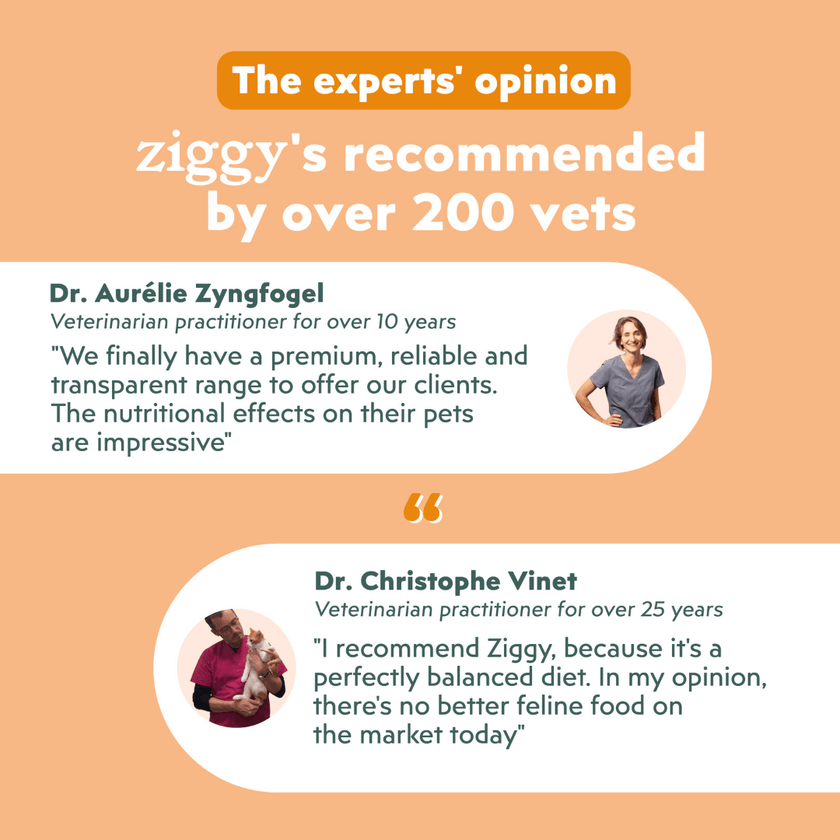 Recommended by over 200 vets, infographic for the Ziggy adult sterilised cat pâté with chicken, tomatoes and olives