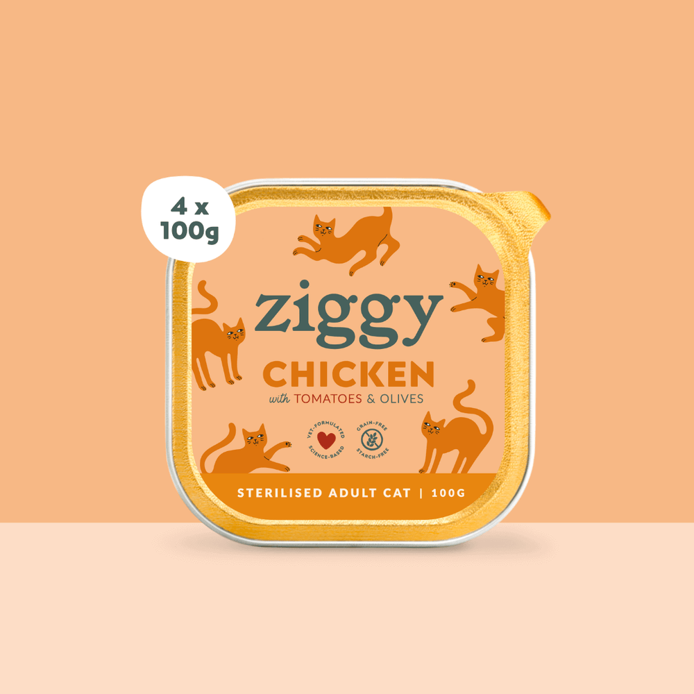 Lot de 4 Barquettes de la pâtée pour chat adulte stérilisé Ziggy au poulet tomates et olives