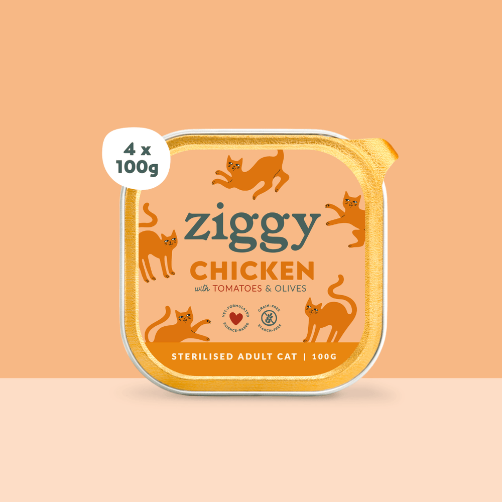 Lot de 4 Barquettes de la pâtée pour chat adulte stérilisé Ziggy au poulet tomates et olives