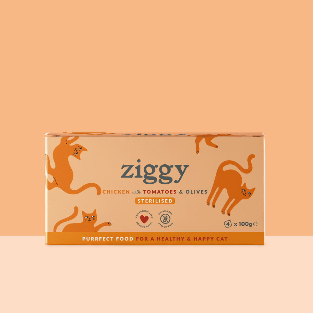 Lot de 4 Barquettes de la pâtée pour chat adulte stérilisé Ziggy au poulet tomates et olives