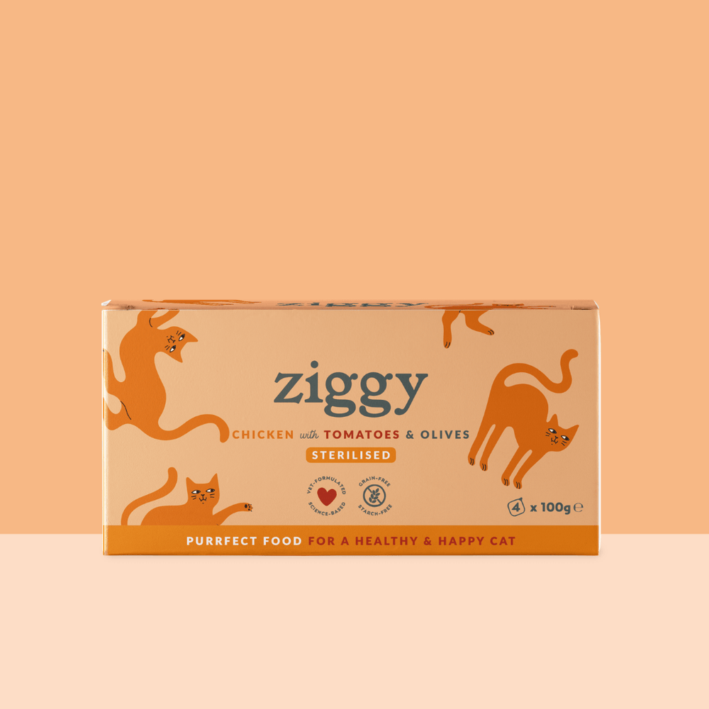 Lot de 4 Barquettes de la pâtée pour chat adulte stérilisé Ziggy au poulet tomates et olives