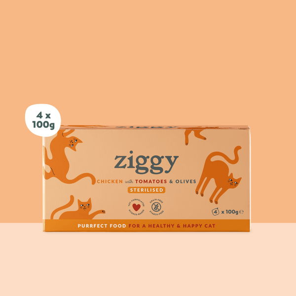Barquette de la pâtée pour chat adulte stérilisé Ziggy au Poulet, Tomates et Olives