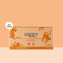 Quantity selector for the pack of 4 trays of Ziggy adult sterilised cat pâté with chicken, tomatoes and olives, orange packaging