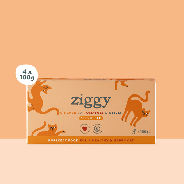Barquette de la pâtée pour chat adulte stérilisé Ziggy au Poulet, Tomates et Olives
