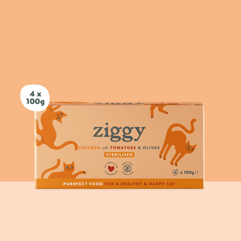 Quantity selector for the pack of 4 trays of Ziggy adult sterilised cat pâté with chicken, tomatoes and olives, orange packaging