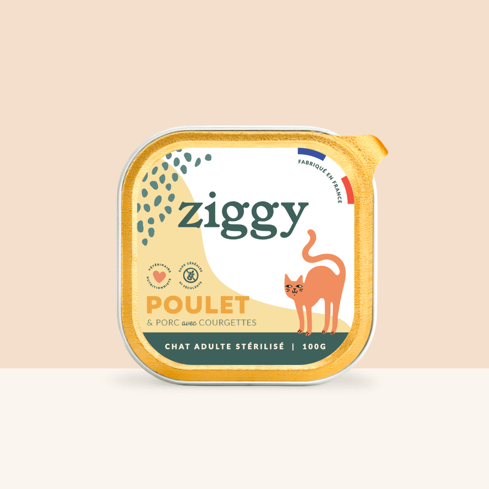 Barquette de pâtée pour chat adulte stérilisé de 100g au poulet de la marque d'alimentation pour chats et chatons saine et sans céréales Ziggy