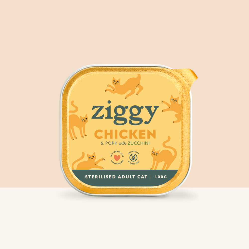 Barquette de pâtée pour chat adulte stérilisé de 100g au poulet de la marque d'alimentation pour chats et chatons saine et sans céréales Ziggy
