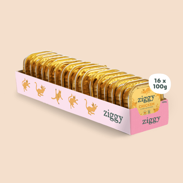 Barquette de pâtée pour chat adulte stérilisé de 100g au poulet de la marque d'alimentation pour chats et chatons saine et sans céréales Ziggy