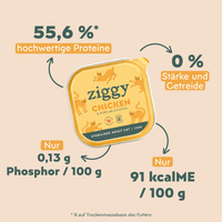 Zusammensetzung von Ziggy sterilisiertem Hühnchen-Nassfutter für Katzen, aus natürlichen Zutaten