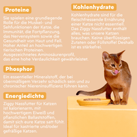 Zusammensetzung von Ziggy sterilisiertem Hühnchen-Nassfutter für Katzen, aus natürlichen Zutaten