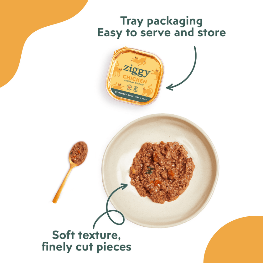 Close-up on the texture of the Ziggy adult sterilised cat pâté with chicken served in a small bowl